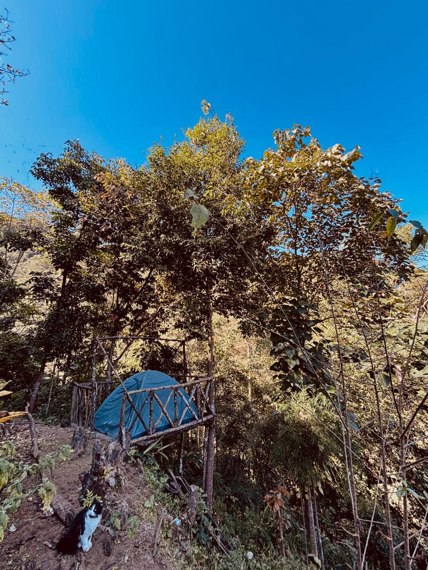 Hosanna Homestay Darjeeling  Buitenkant foto